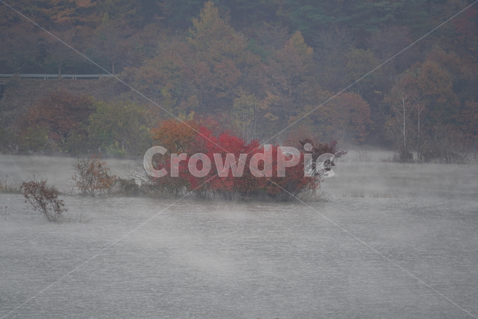 물안개,용담댐,진안군,저수지,담수지,호수공원,waterfog,weather,날씨,nature,자연,fog,안개