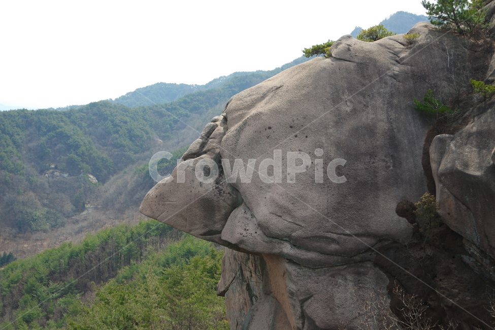 감암산거북바위,감암산,거북바위,감암산매바위,매바위,자연,풍경,nature,landscape