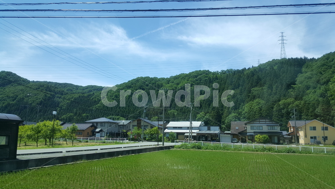 논,시골,풍경,countryside,자연,시골전경,논밭,농사,벼,벼밭,시골,마을,풍경,landscape,country,rural,town