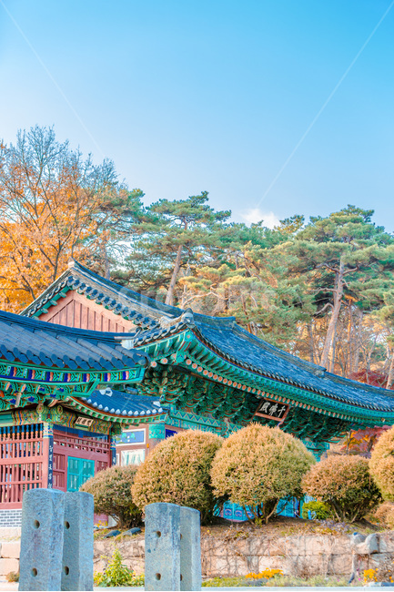 사찰,단청,문양,무늬,단풍,전통,한국전통,한국문화,korean traditional,korean culture,종교,신앙,religion,belief,faith