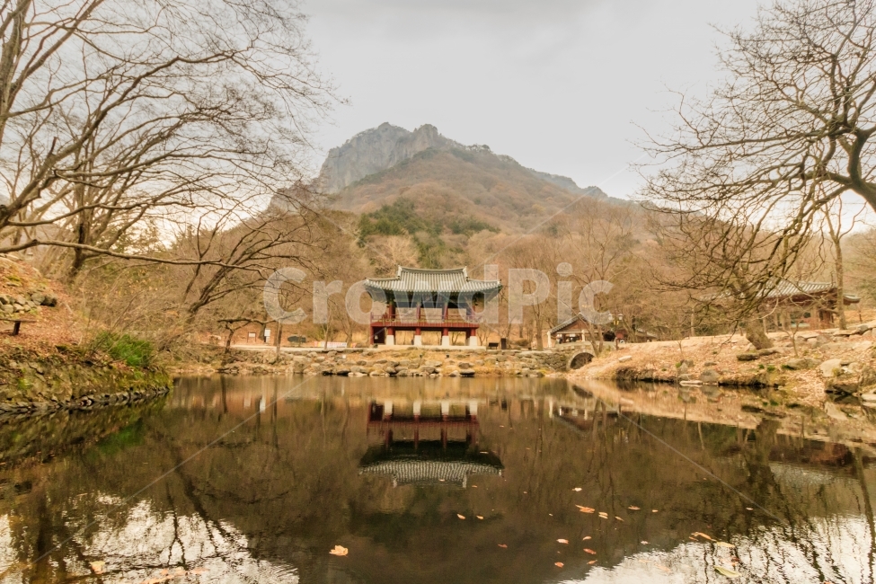 백양사,쌍계루,풍경,가을,반영,절,가을,계절,fall,autumn,season,자연,풍경,nature,landscape,한국자연풍경,한국자연경관,korea nature landscape,한국전통,한국문화,korean traditional,korean culture,water,물,building,건물,architecture,건축물,temple,신전,outdoors,옥외