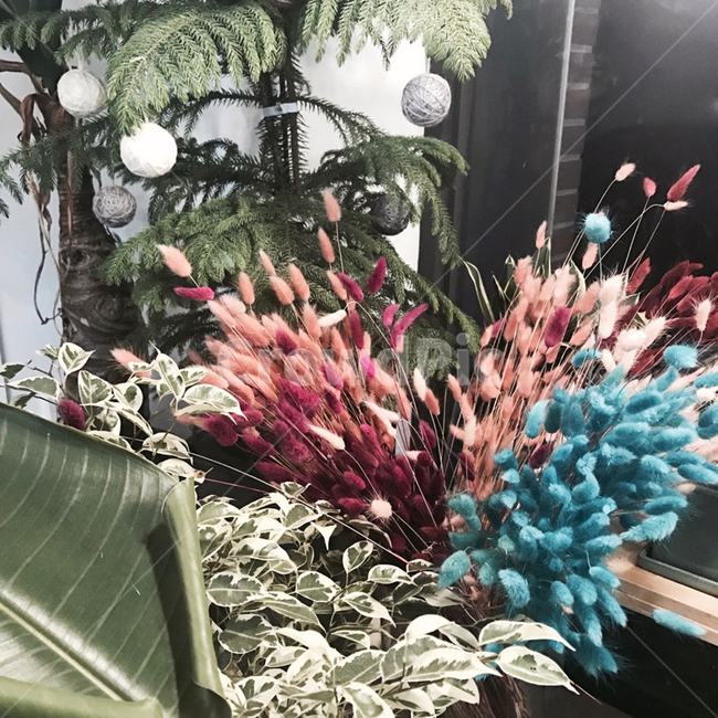 꽃집,꽃,인테리어,꽃집인테리어,꽃다발,인테리어,실내디자인,interior design