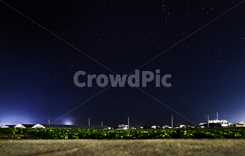 시골,농촌,배추밭,밤,밤하늘,야경,시골,마을,풍경,landscape,country,rural,town,야경,밤,nightscape,night,nature,자연,outdoors,옥외