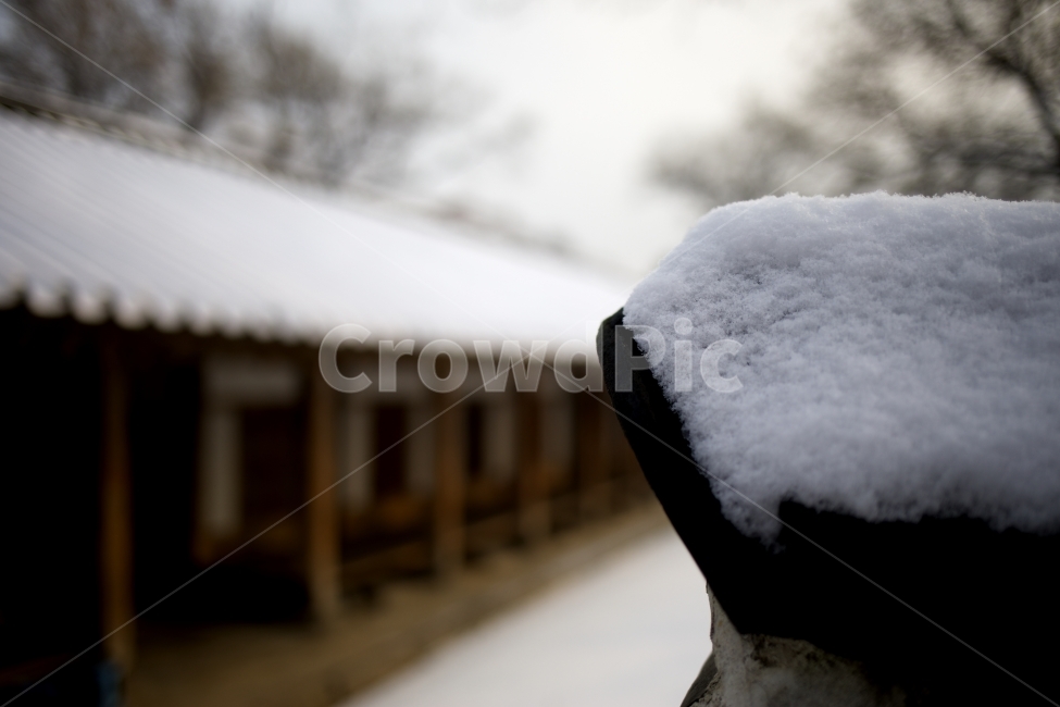 겨울,눈,한옥,명륜당,winter,snow,koreanhouse,hanok,아웃포커싱,전통,traditional,겨울,계절,winter,season