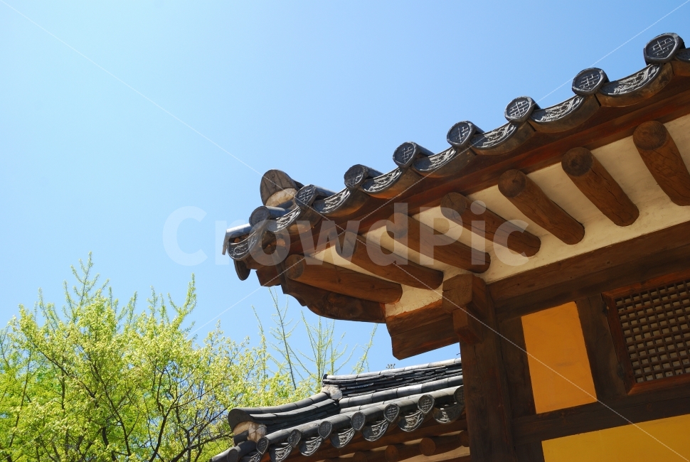 전통,건물,고궁,명소,유적,경북궁,궁전,조선시대,문화재,역사,풍경,단청,문양,무늬,한국,절,건축물,건물외관,exterior,building,structure,architecture,construction,한국전통,한국문화,korean traditional,korean culture