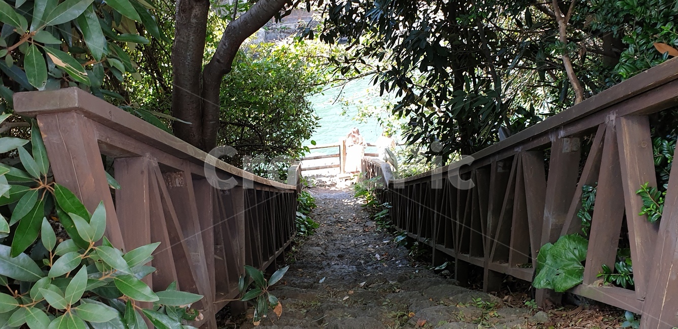 제주도,풍경,계단,그늘,나무속길,자연,풍경,nature,landscape,garden,정원,outdoors,옥외,arbour,정자