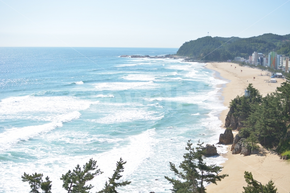 바다,파도,해변,식물,풍경,나무,해수욕장,리조트,Beach,Sea,Ocean,Waves,Tree,Plants,Blue,Skyblue,Sand,자연,풍경,nature,landscape,해변,바다,beach,sea,도시,city,promontory,곶,water,물,ocean,대양,outdoors,옥외
