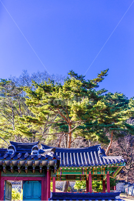 기와,문화유산,고궁,패턴,한국의미,관광지,한국전통,한국문화,korean traditional,korean culture,건축물,건물외관,exterior,building,structure,architecture,construction