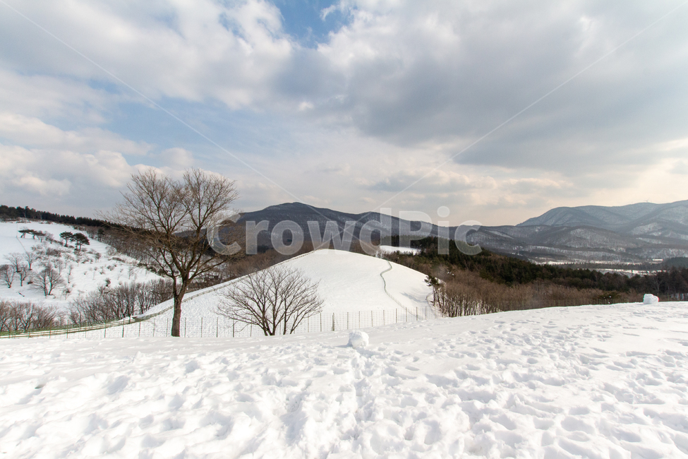 nature,자연,outdoors,slope,옥외,경사,mountain,산,설경,눈,강원도