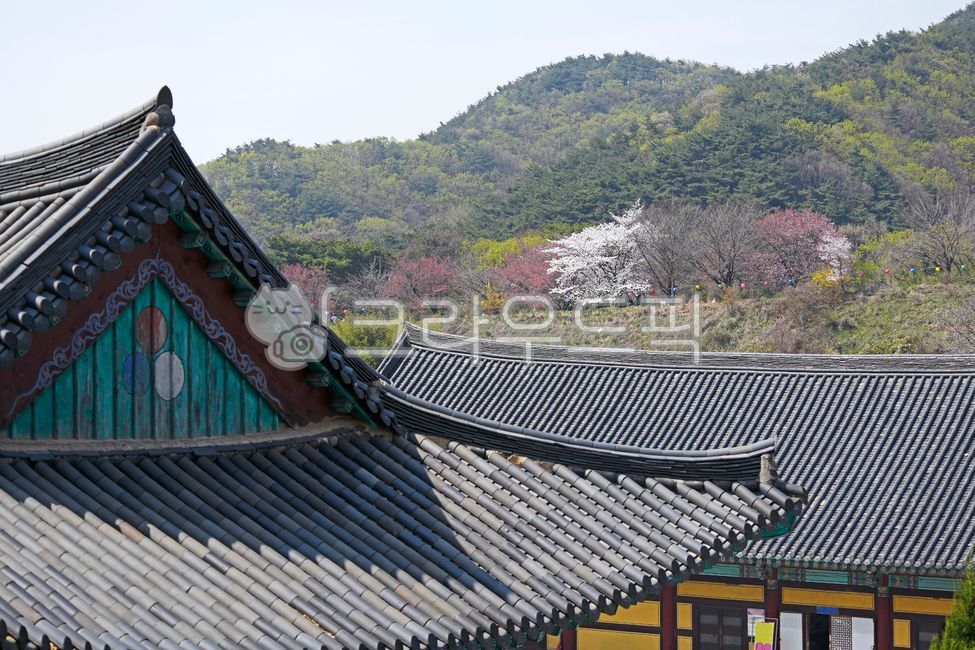 지붕,내림마루,용마루,한옥,합각,너재,기와,각원사,사찰