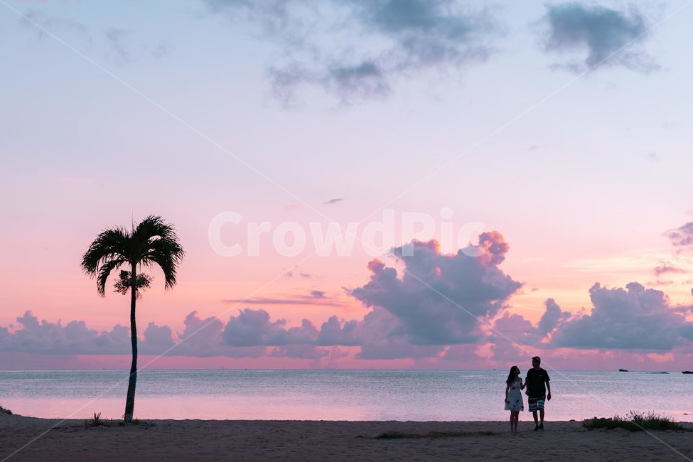 바닷가,일몰,구름,연인,커플,낭만,노을,야자수,휴가,해변,seashore,sunset,cloud,vacation,couple,자연,풍경,nature,landscape