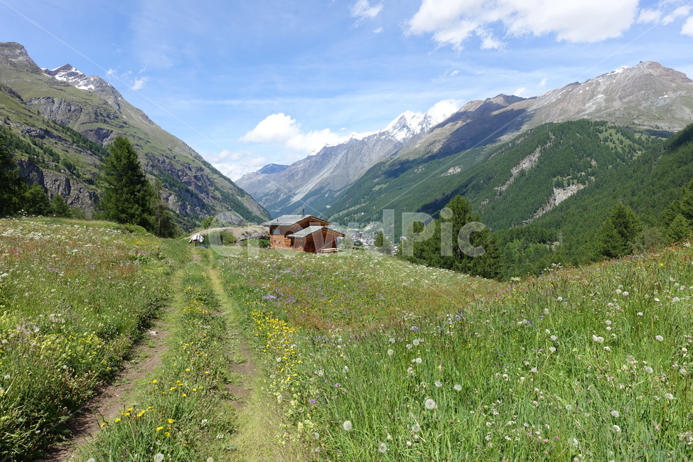 하늘,풀,자연,집,산,구름,자연,풍경,nature,landscape,시골,마을,country,rural,town,해외,외국,세계,foreign,oversea,world,세계자연풍경,해외자연풍경,외국자연풍경,world nature landscape,outdoors,옥외,grassland,목초지,field,들