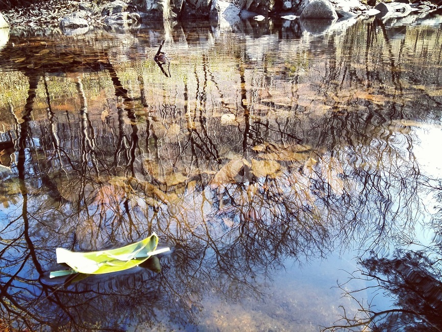 자연,계곡,풍경,쉽터,그림자,물,물결,nature,대나무,대나무배,배,healing,water,valley,힐링,outdoors,감성사진