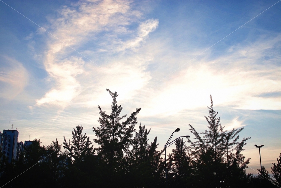 빛,하늘,구름,light,sky,풍경,자연,눈부신,자연,풍경,nature,landscape,grass,잔디,plant,식물,lawn
