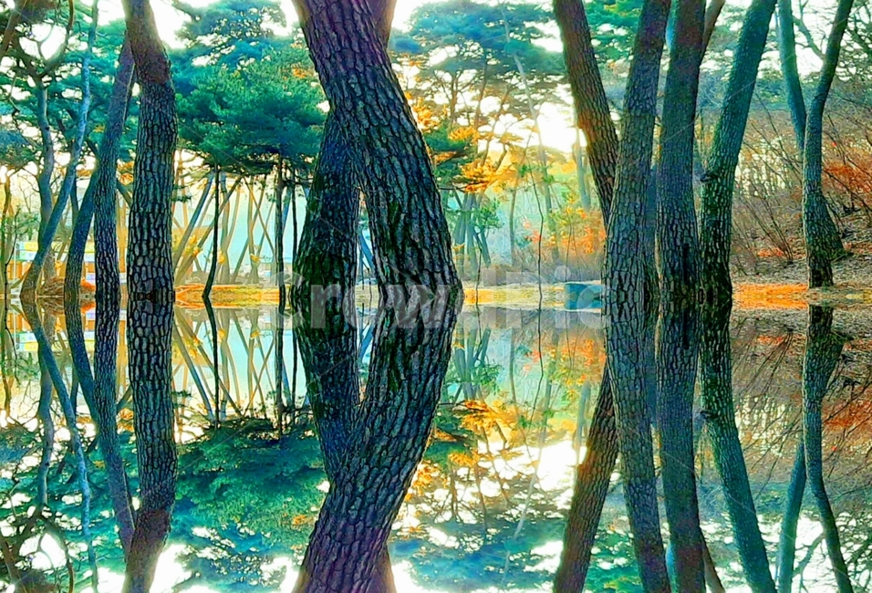 outdoors,옥외,nature,자연,land,물