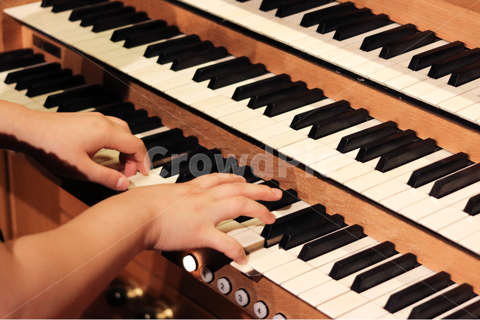 music,musicalinstrument,organ,오르간,악기,악기,음향기기,musical instrument,musical equipment