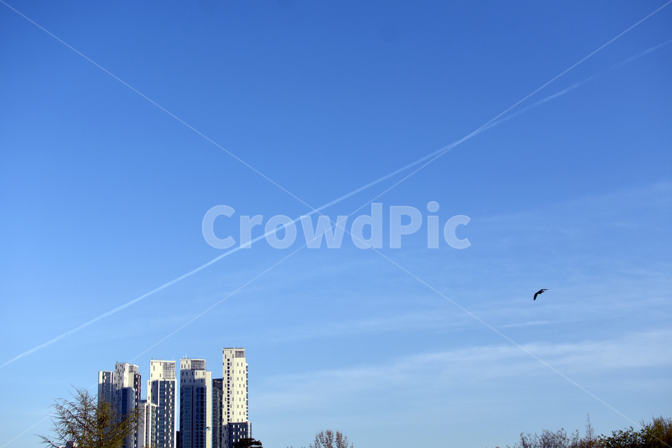 서울,건물,도시풍경,하늘,도시,도시,풍경,city,landscape,한국도시풍경,한국도시경관,korea cityscape,leisure activities,레저 활동,adventure,모험