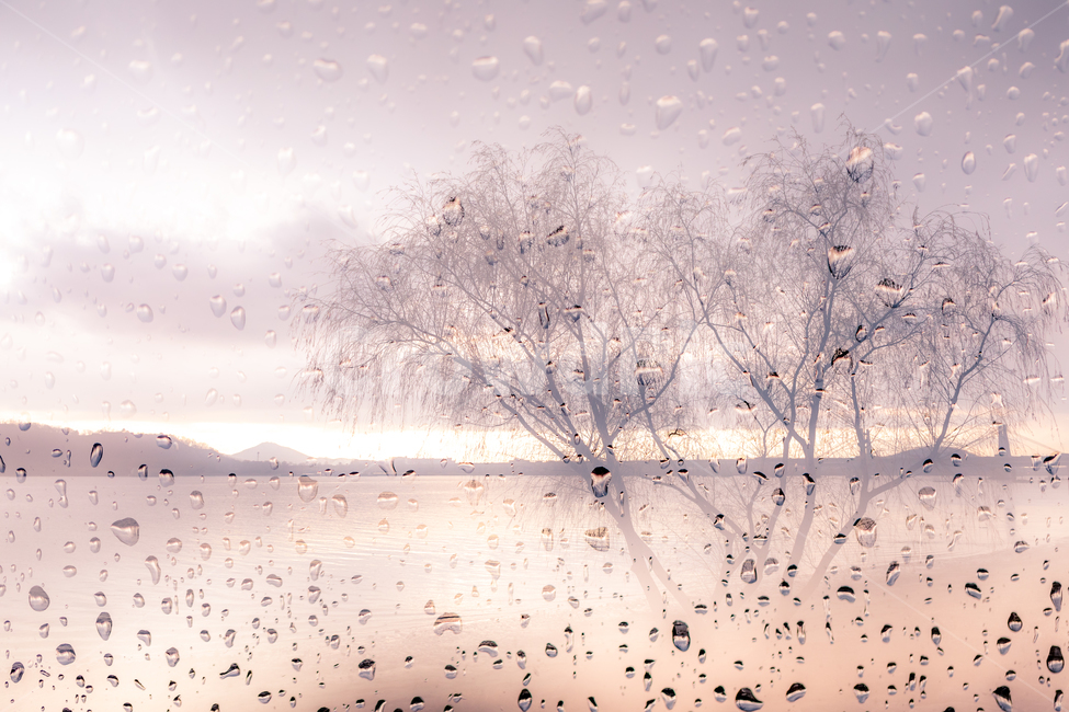 비오는날,비,일몰,행주산성,행주산성역사공원,공원,자연,풍경,nature,landscape,비,비오는날,rain,rainy