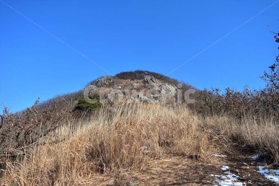 오서산,설경,눈꽃,풍경,겨울,자연,눈,스포츠,등산,산행,nature,snow,겨울풍경,느낌,아름다운,신비로운,경이로운,다큐,필,힐링,명산,국립공원,순백,landscape,winter,season,천제단,운해,영산,트레킹,인기명산,조망,전망,억새,광천,겨울,계절,winter,season,자연,풍경,nature,landscape,한국자연풍경,한국자연경관,korea nature landscape,outdoors,옥외