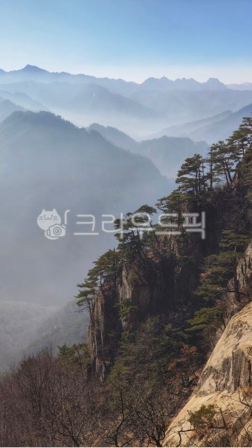 Sea of clouds,pine trees,mountain range,mountain ridge,mountain peak,mountain range,strangely shaped rocks,view of Mt. Wolak,gradation,Jecheon,Chungju,winter mountain,Chungcheongbuk-do,calm,foggy mountain,peaceful,hiking,dreamy,layered,