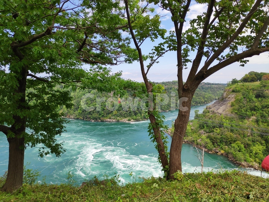 나이아가라,나이아가라강,niagarariver,niagara,canada,tree,나무,plant,식물,nature,자연,outdoors,옥외,자연,풍경,nature,landscape