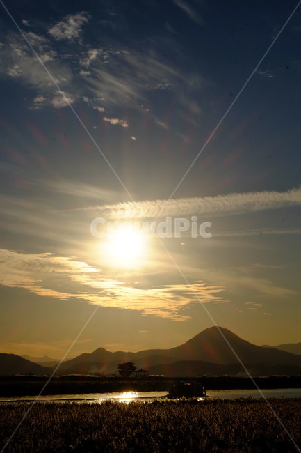 순천만,갈대,순천,하늘,배,노을,sunset,일몰