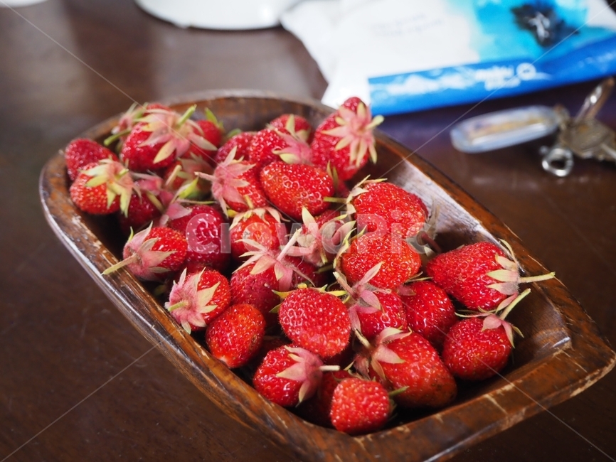 food,음식,plant,식물,fruit,과일,strawberry,딸기
