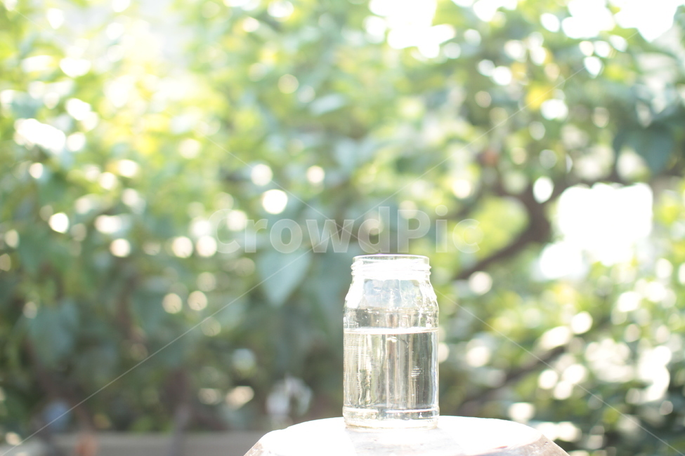 물,자연,나무,숲,물병,햇살,청량함,6월,초여름,여름,계절,summer,season,음료수,drink,beverage