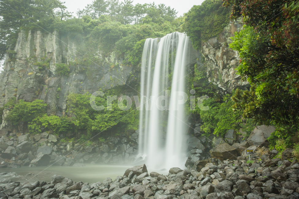 폭포,제주도,비,흐림,정방폭포,자연,풍경,nature,landscape,river,강,water,물,outdoors,옥외,waterfall