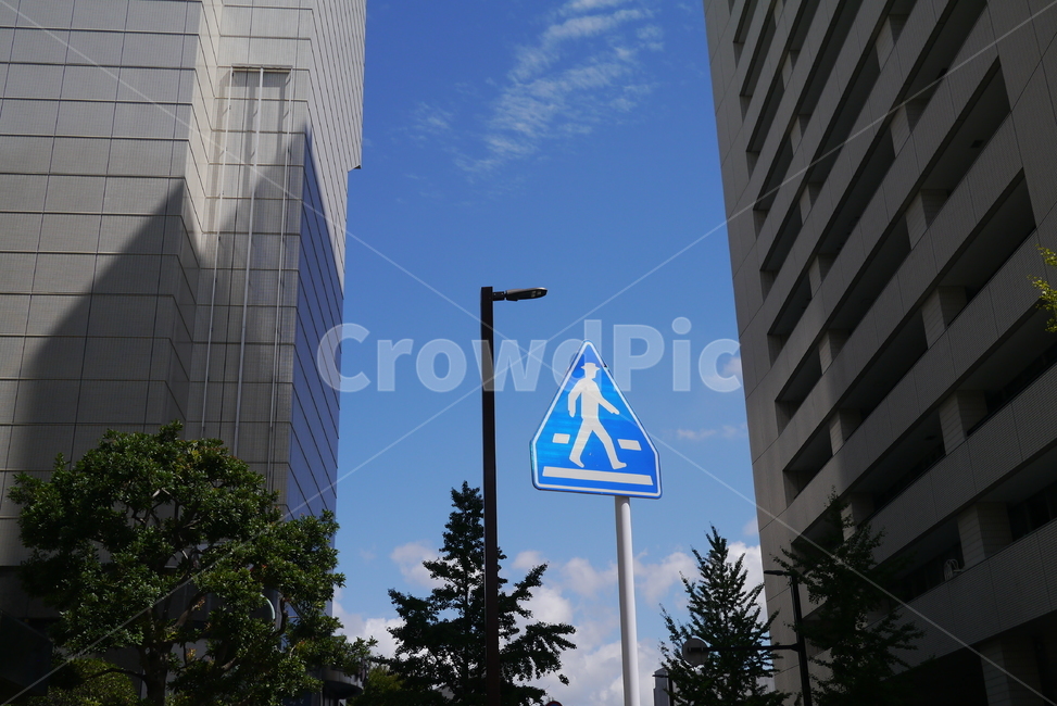 표지판,보행표지판,하늘,도시,건물,도시,풍경,city,landscape