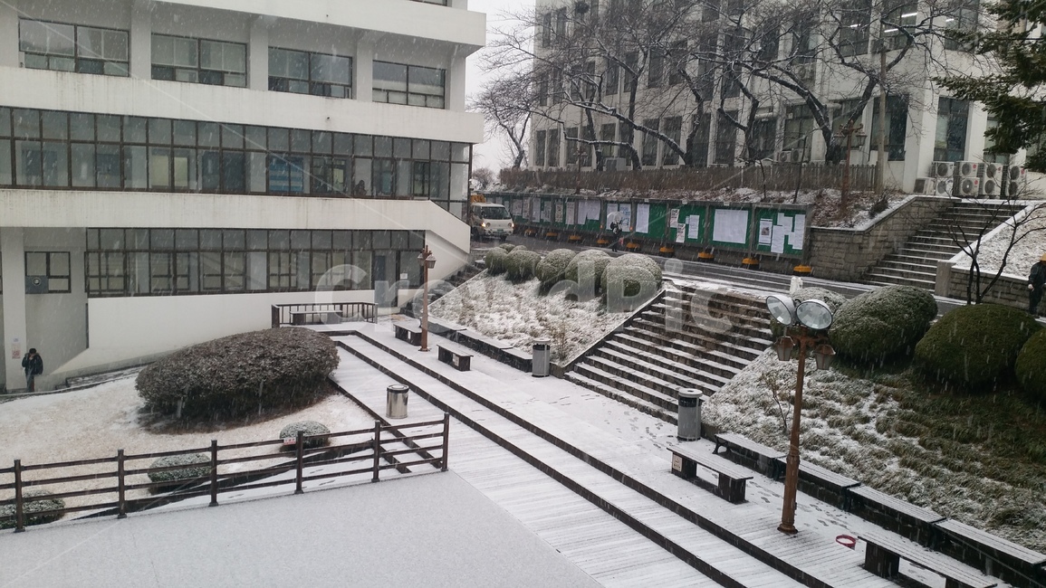 학교,경희대,눈,겨울,방학,대학교,캠퍼스