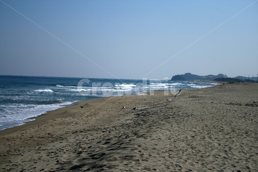 바다,파도,하늘,해변,모래사장,자연,풍경,nature,landscape,해변,바다,beach,sea,ocean,대양,water,물,outdoors,옥외,shoreline,해안선,animal,동물,bird,새