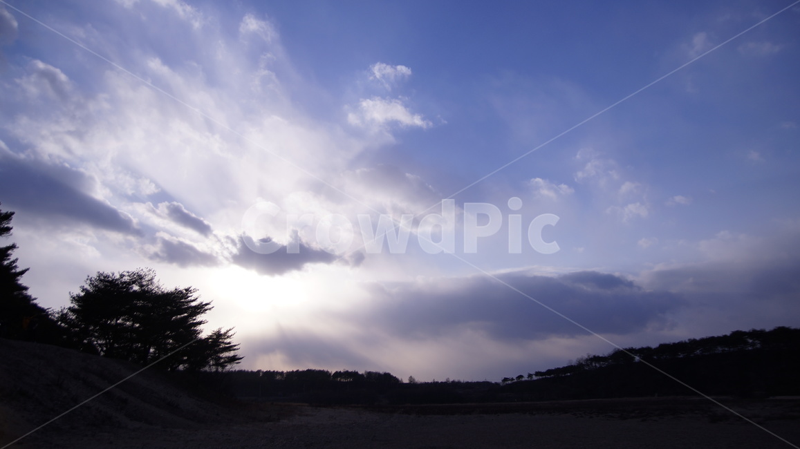 하늘,구름,빛,나무,그림자,바람,파란,태양,자연,풍경,nature,landscape,outdoors,옥외,weather,날씨