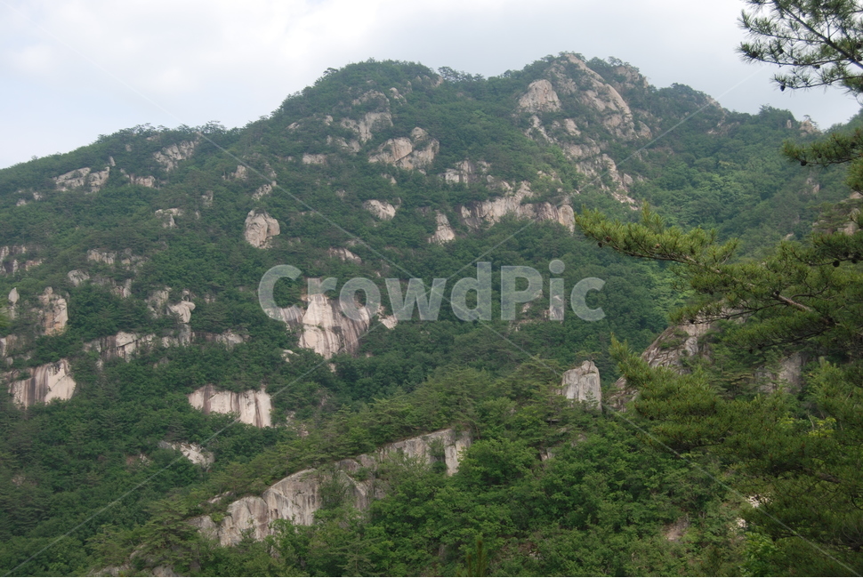 도락산,국립공원,탐방로,여름,자연,휴양림,자연,풍경,nature,landscape,한국자연풍경,한국자연경관,korea nature landscape,slope,경사,outdoors,옥외,hill,언덕