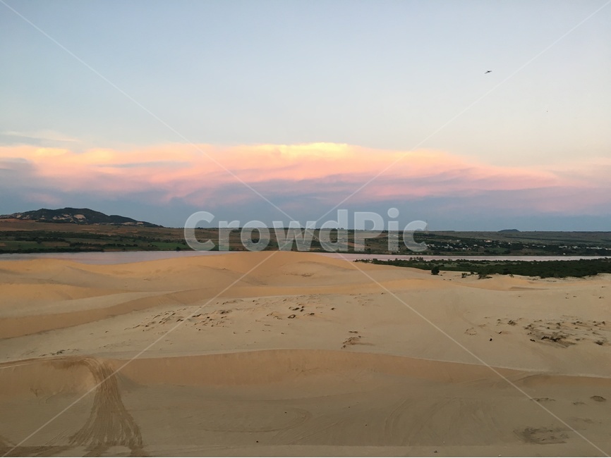 베트남,무이네,사막,화이트샌듄,모래사구,하늘,나무,흔적,sand,모래,고요한,적막한,세계자연풍경,해외자연풍경,모래언덕,자연,풍경,nature,landscape,해외,외국,세계,foreign,oversea,world,세계자연풍경,해외자연풍경,외국자연풍경,world nature landscape,soil,흙,모래,outdoors,옥외,dune,모래 언덕