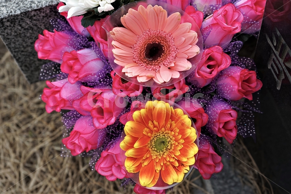 꽃,화려함,향기,조화,꽃다발,성묘,아름다움,beautiful,plant,flower,꽃,flower