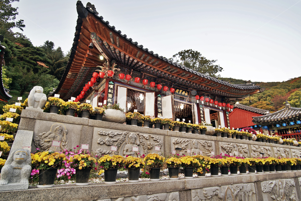 청계사,사찰,불교사찰,의왕시,극락보전,아미타불,한국전통,한국문화,korean traditional,korean culture,종교,신앙,religion,belief,faith