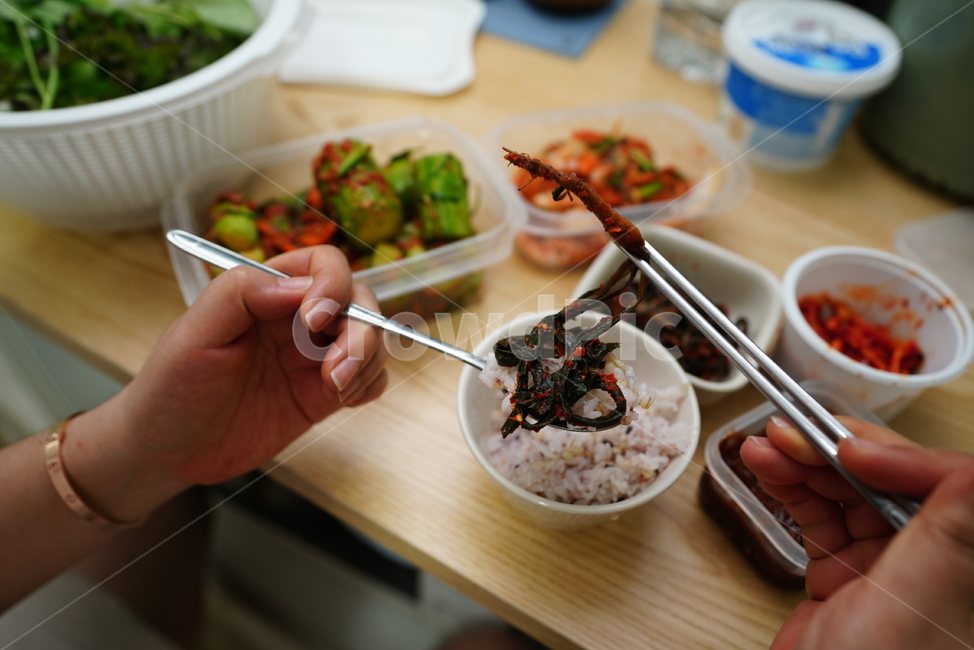 한식,고들빼기김치,김치,식사,음식,반찬,food,야채,채소,안주,집밥,먹거리,음식,식재료,요리,food,cook,meal,dishes,food reserves