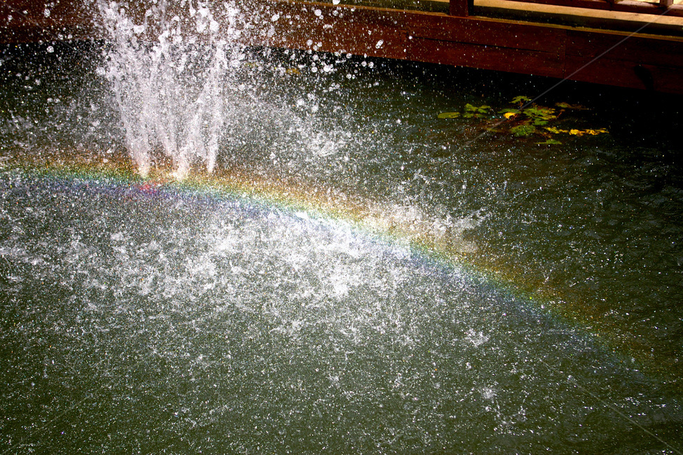 연못,무지개,물방울,분수,rainbow,자연,풍경,nature,landscape,water,물