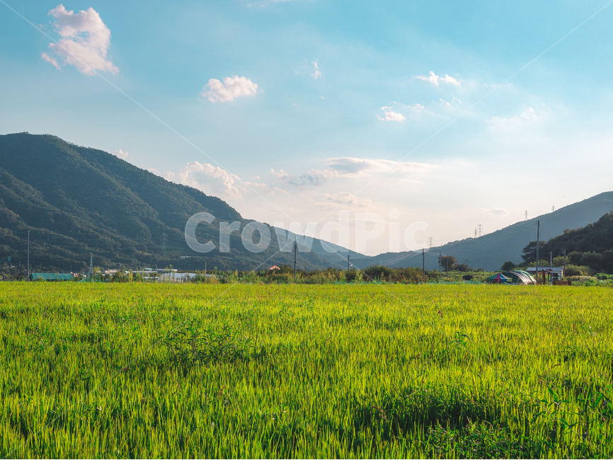 자연,풍경,하늘,산,시골,outdoors,옥외,grassland,목초지,field,들,nature,자연,풍경,nature,landscape