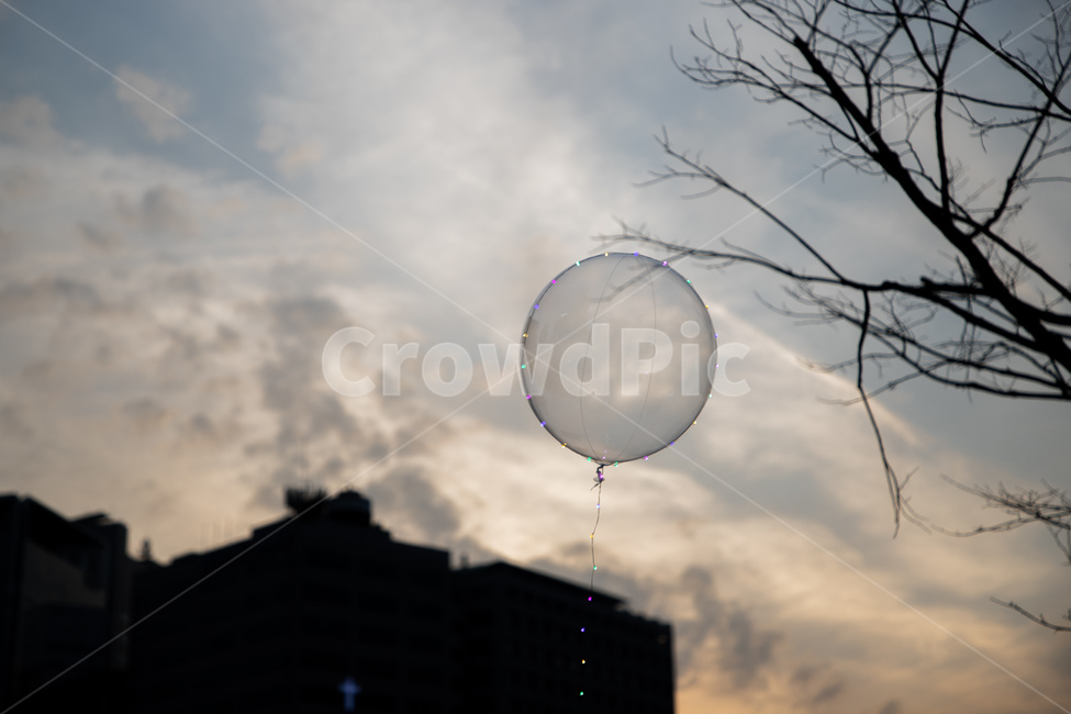 풍선,노을,하늘,나뭇가지,balloon,sky,저녁