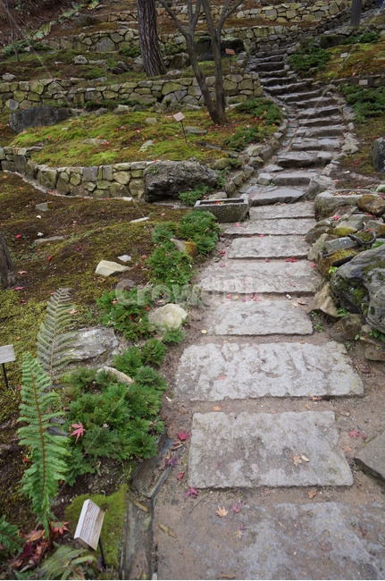 돌,돌계단,오르막길,계단,수목원길,수목원,stairs,자연,풍경,nature,landscape,flagstone,판석,path,통로,walkway,보도,slate,슬레이트