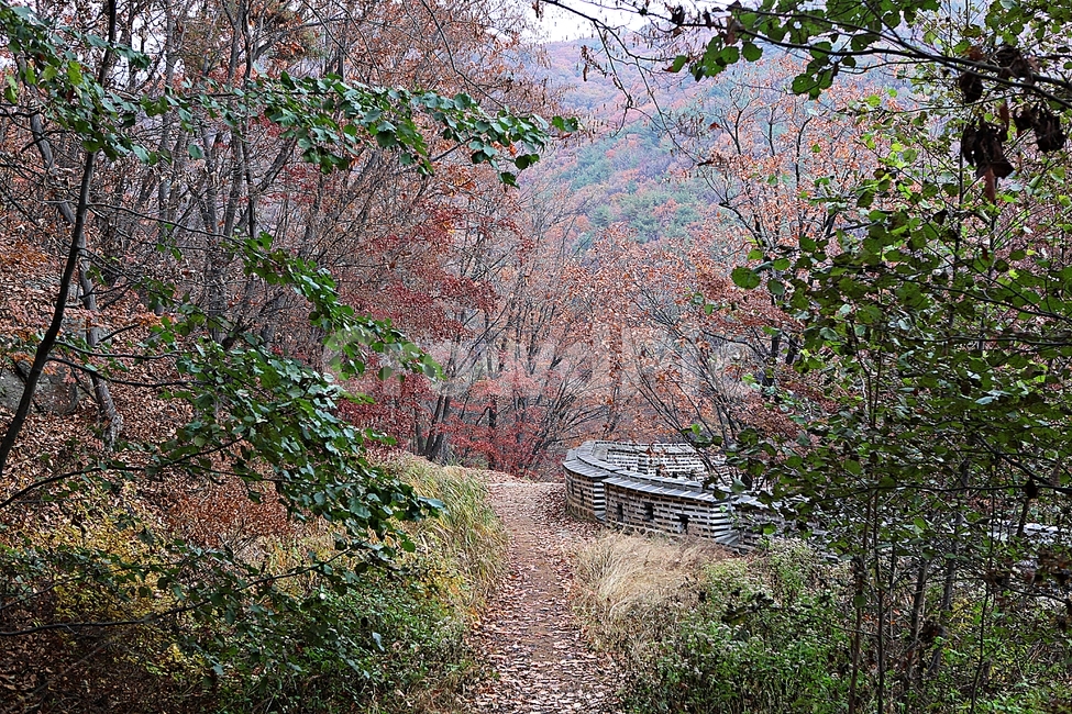 남한산성,성,성곽,단풍,낙엽,길,둘레길,담,돌담,가을,자연,풍경,벽,울긋불긋,산성,식물,가을,계절,fall,autumn,season,한국전통,한국문화,korean traditional,korean culture,plant,tree,나무,ground,바닥