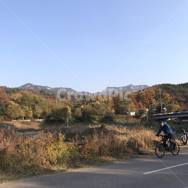 person,사람,human,인간,bike,transportation,교통,vehicle,차량,bicycle,자전거,공원,park,walk,walking