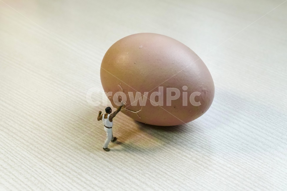 계란,달걀,삶은계란,삶은달걀,미니어처,격파,펀치,주먹,단백질,다이어트,음식,식재료,요리,food,cook,meal,dishes,food reserves,연출,컨셉,콘셉,direction,concept