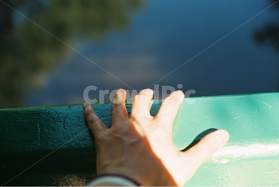 손,hand,감성사진,필름카메라,여자손,다짐,사람,인물,인간,human,person,신체일부,몸,body,감성,sensible,feeling