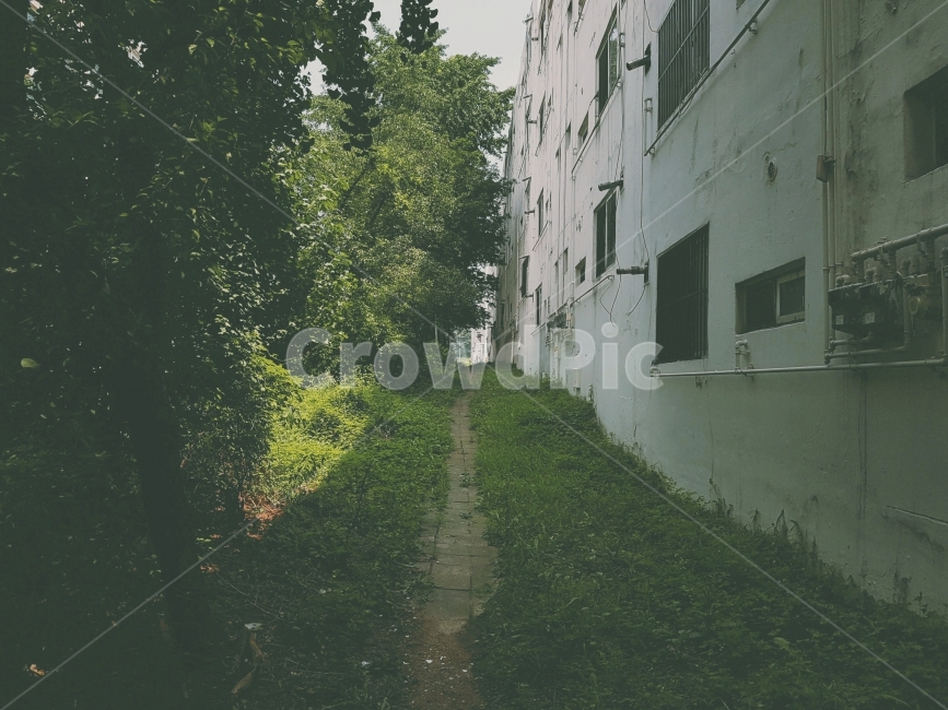 자연,인간,경계,선,길,골목,건물,나무,잔디,일상,nature,human,boundary,line,road,alley,tree,grass,daily,골목길,alley,감성,sensible,feeling,건축물,건물외관,exterior,building,structure,architecture,construction,plant,식물