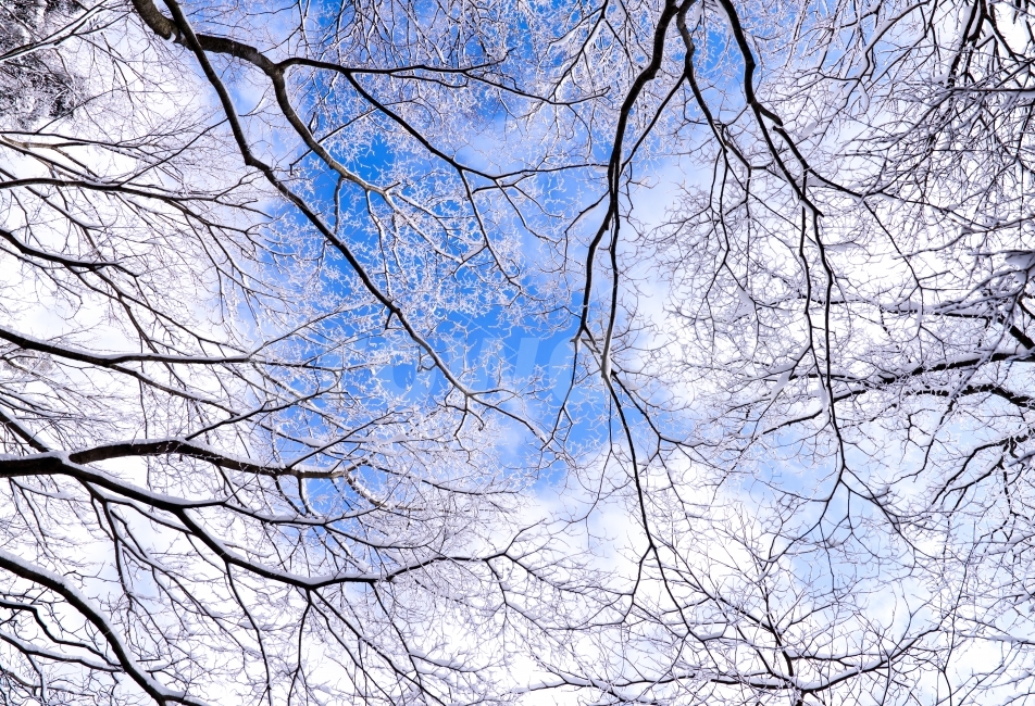 winter snowflake,snowflake,snow,snowflake photo,winter