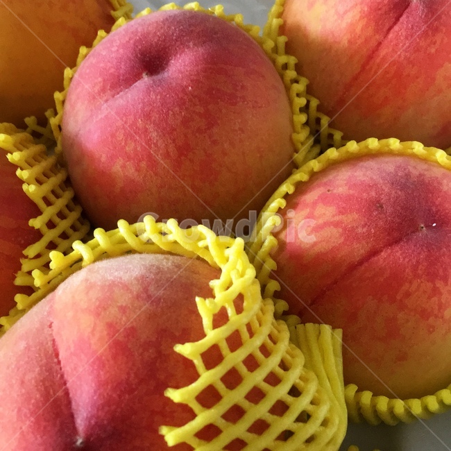plant,peach,복숭아,fruit,음식,food,음식,식재료,요리,food,cook,meal,dishes,food reserves,과일,열매,fruit