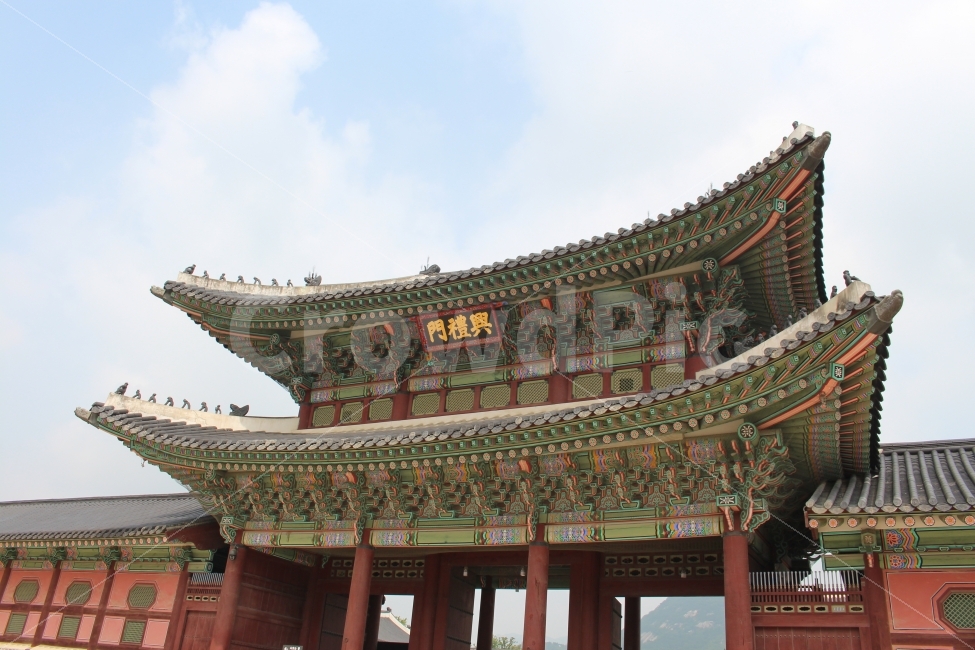 서울,관광지,광화문,경복궁,고궁,랜드마크,landmark,tourist attraction,한국전통,한국문화,korean traditional,korean culture